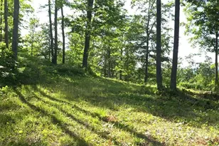 83Xxx Ashwabay Heights Rd, Bayfield, WI 54814 - Photo 4