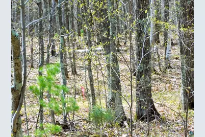 Xxxx Polkoski Way, Iron River, WI 54847 - Photo 22