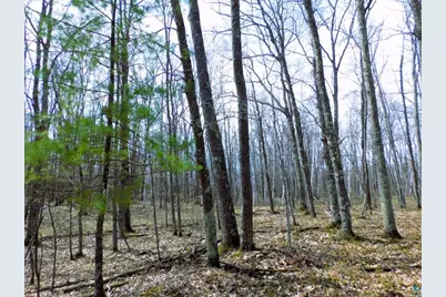Xxxx Polkoski Way, Iron River, WI 54847 - Photo 20