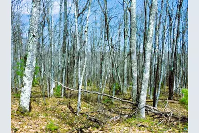 Xxxx Polkoski Way, Iron River, WI 54847 - Photo 18
