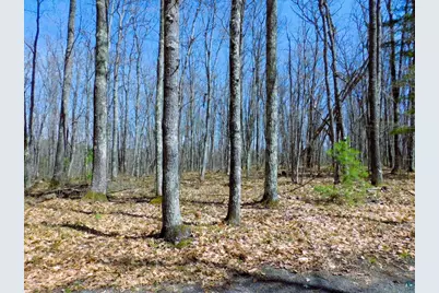 Xxxx Polkoski Way, Iron River, WI 54847 - Photo 10