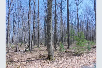 Xxxx Polkoski Way, Iron River, WI 54847 - Photo 14