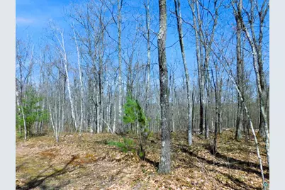 Xxxx Polkoski Way, Iron River, WI 54847 - Photo 6