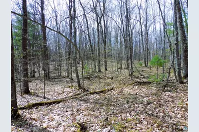 Xxxx Polkoski Way, Iron River, WI 54847 - Photo 24