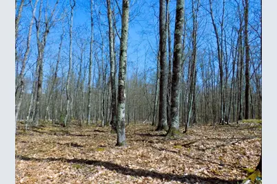 Xxxx Polkoski Way, Iron River, WI 54847 - Photo 6