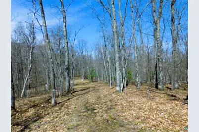 Xxxx Polkoski Way, Iron River, WI 54847 - Photo 16