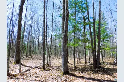 Xxxx Polkoski Way, Iron River, WI 54847 - Photo 8