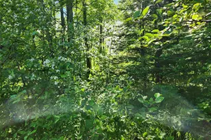 20210 S Siskiwit Shores, Cornucopia, WI 54827 - Photo 42