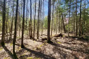87644 Bjorn Rd, Bayfield, WI 54814 - Photo 24