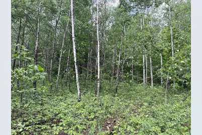 Xxx Rice Ave, Bayfield, WI 54814 - Photo 6