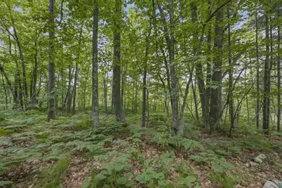 Xxx State Hwy 13, Bayfield, WI 54814 - Photo 20