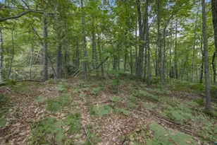 Xxx State Hwy 13, Bayfield, WI 54814 - Photo 22