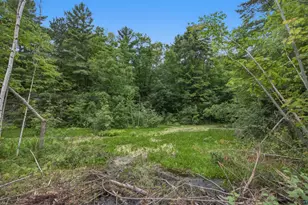 Xxx State Hwy 13, Bayfield, WI 54814 - Photo 6