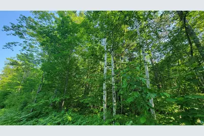 E Half Mile Rd, Herbster, WI 54844 - Photo 14