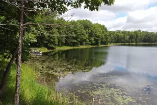 9305 Wildwood Campground Rd, Iron River, WI 54847 - Photo 74