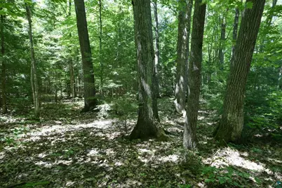 77545 W Maple Hill Rd, Washburn, WI 54891 - Photo 22