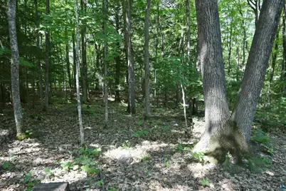 77545 W Maple Hill Rd, Washburn, WI 54891 - Photo 20