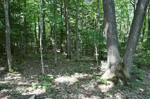 77545 W Maple Hill Rd, Washburn, WI 54891 - Photo 20