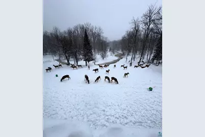 2084 E Foxboro Chaffey Rd, Foxboro, WI 54836 - Photo 52