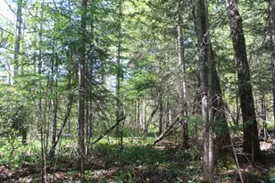 7195 E State Hwy 13, South Range, WI 54874 - Photo 98
