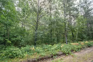 63Xxx Bradfield Rd, Iron River, WI 54847 - Photo 8