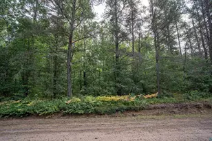 63Xxx Bradfield Rd, Iron River, WI 54847 - Photo 10