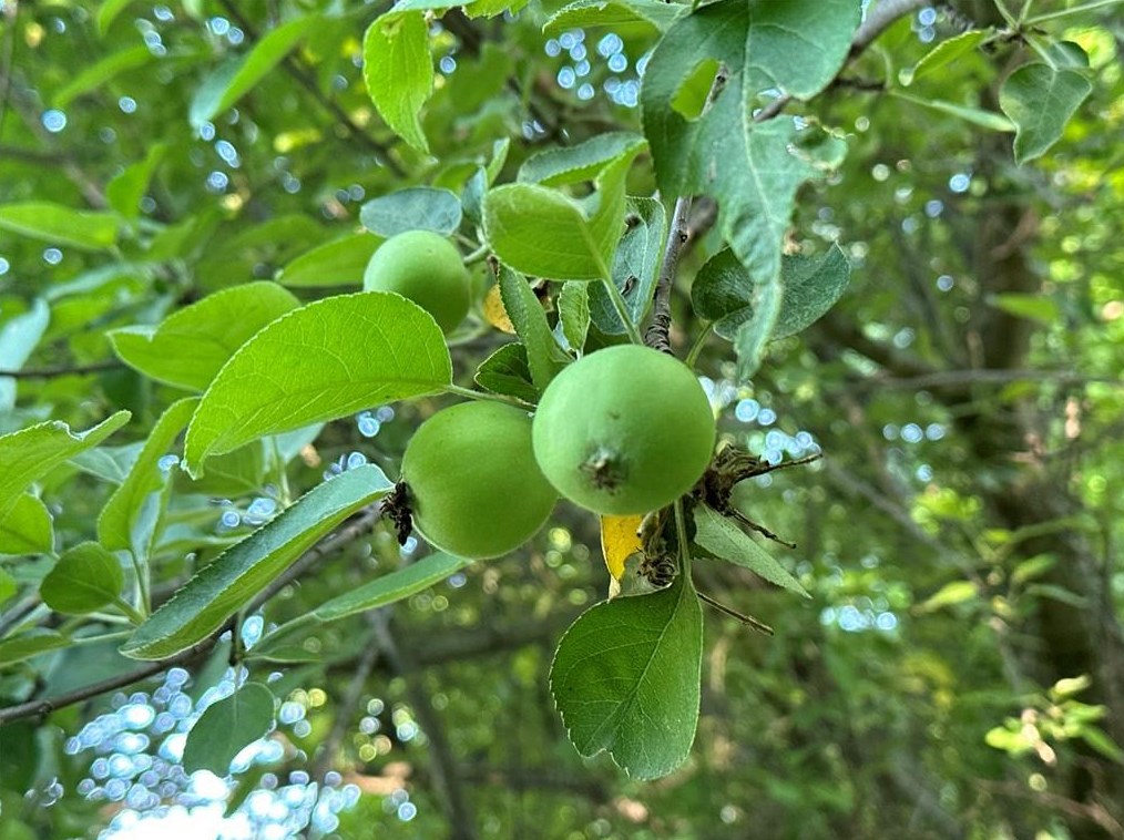 2445 23rd St, Canton WI exterior