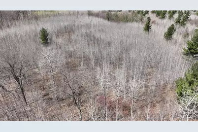 Xx E Beauregard Lake Road, Solon Springs, WI 54873 - Photo 10