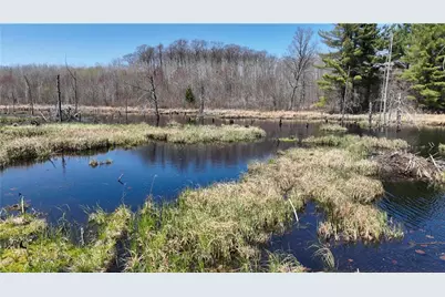 Xx E Beauregard Lake Road, Solon Springs, WI 54873 - Photo 22