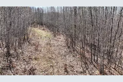 Xx E Beauregard Lake Road, Solon Springs, WI 54873 - Photo 28