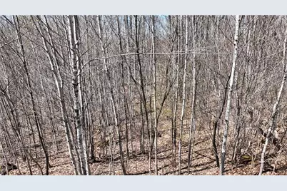 Xx E Beauregard Lake Road, Solon Springs, WI 54873 - Photo 26