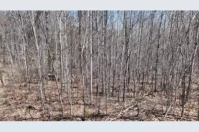 Xx E Beauregard Lake Road, Solon Springs, WI 54873 - Photo 30