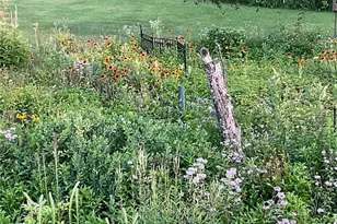 169003 Shorewood Dr, Rosholt, WI 54473 - Photo 54