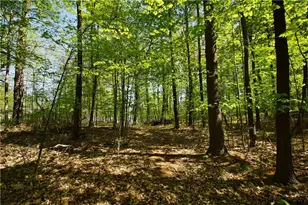 N872 County Hwy Md, Sarona, WI 54870 - Photo 40