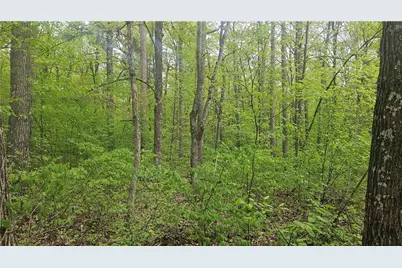 Lot 2 Buckeye Lane, Stone Lake, WI 54876 - Photo 4