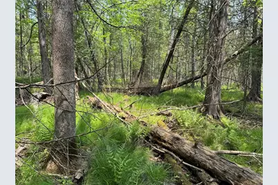 W15014 E Silver Creek Road, Birnamwood, WI 54414 - Photo 36