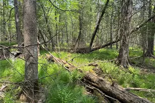 W15014 E Silver Creek Rd, Birnamwood, WI 54414 - Photo 36