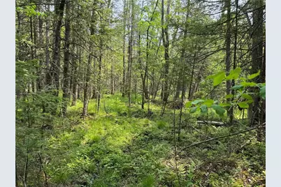 W15014 E Silver Creek Road, Birnamwood, WI 54414 - Photo 32