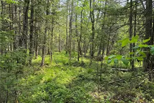 W15014 E Silver Creek Rd, Birnamwood, WI 54414 - Photo 32