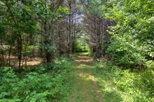 W6616 Poertner Rd, Neillsville, WI 54456 - Photo 36