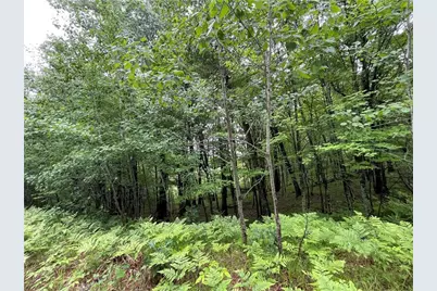 0 Loon Lake Road, Spooner, WI 54801 - Photo 26