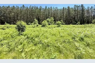 Lot 60 Brook Lane, Hayward, WI 54843 - Photo 1