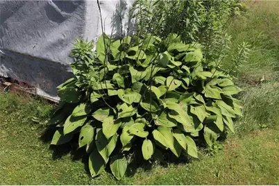 218 E Main Street, Fairchild, WI 54741 - Photo 36