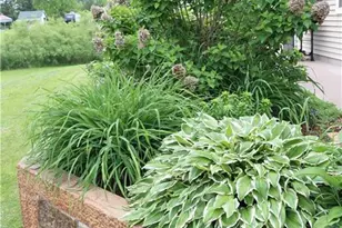 121 Alma St, Almena, WI 54805 - Photo 36