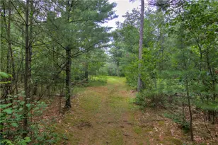 W8659 County Rd O, Black River Falls, WI 54615 - Photo 50