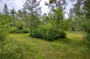 W8659 County Rd O, Black River Falls, WI 54615 - Photo 46