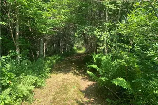 17564 Forest Rd 1285, Glidden, WI 54527 - Photo 28