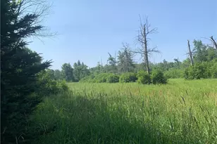 17564 Forest Rd 1285, Glidden, WI 54527 - Photo 30