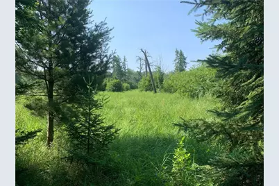 17564 Forest Road 1285, Glidden, WI 54527 - Photo 32