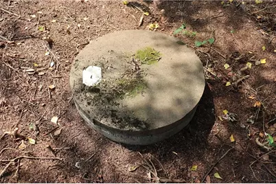 N12757 Rindahl Valley Road, Osseo, WI 54758 - Photo 46